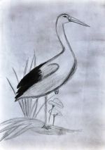 Paučinová Kristína.jpg